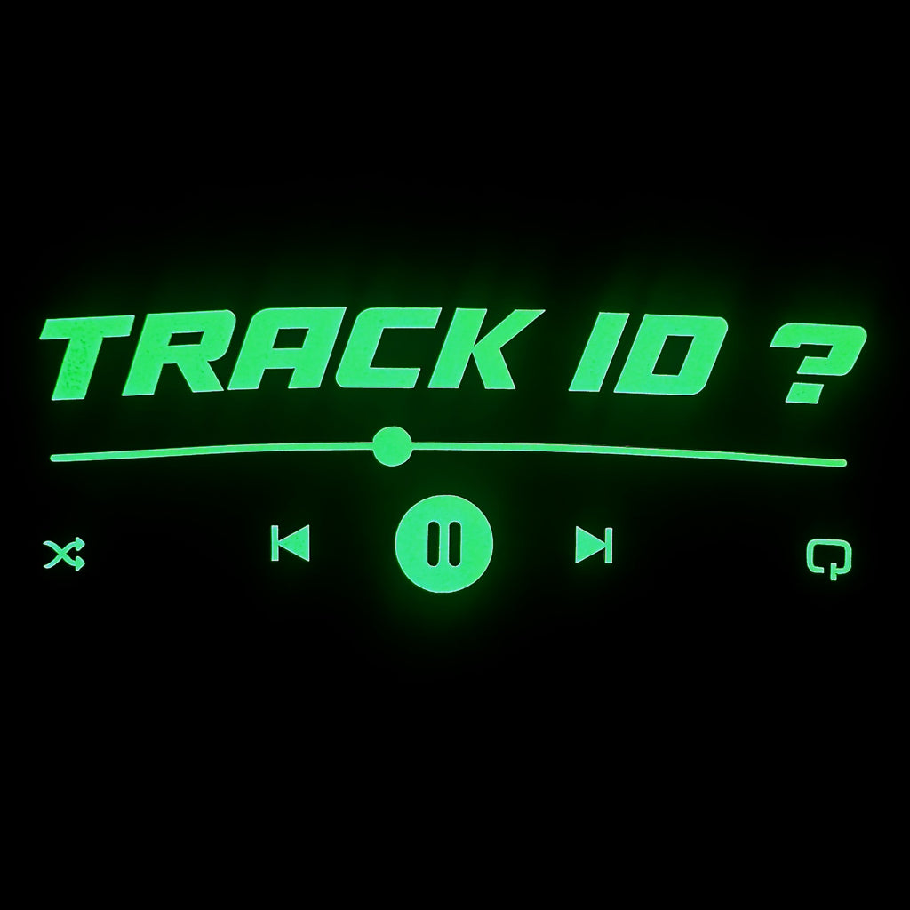 Glow in Dark TRACK ID Hoodie